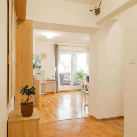 Tara Apartment Njivice